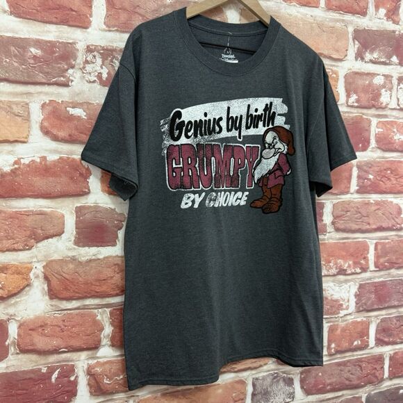 Disney T Shirt Women's Men's Large Gray Genius Grumpy Snow White Seven 7 Dwarfs - Picture 2 of 8